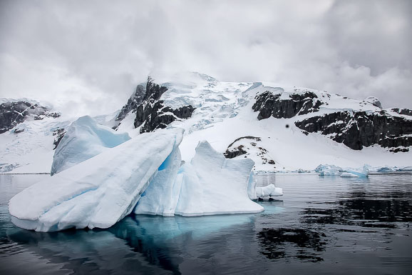 Antarctica and South Georgia Island