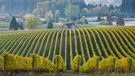 Oregon
