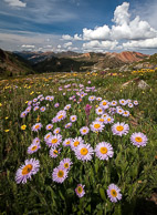 The Rest Of The West