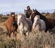 Patagonia- Chile and Argentina